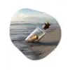 Glazenfles - Post - Zee - Zand Wandcirkel Organisch Plexiglas middel -3d