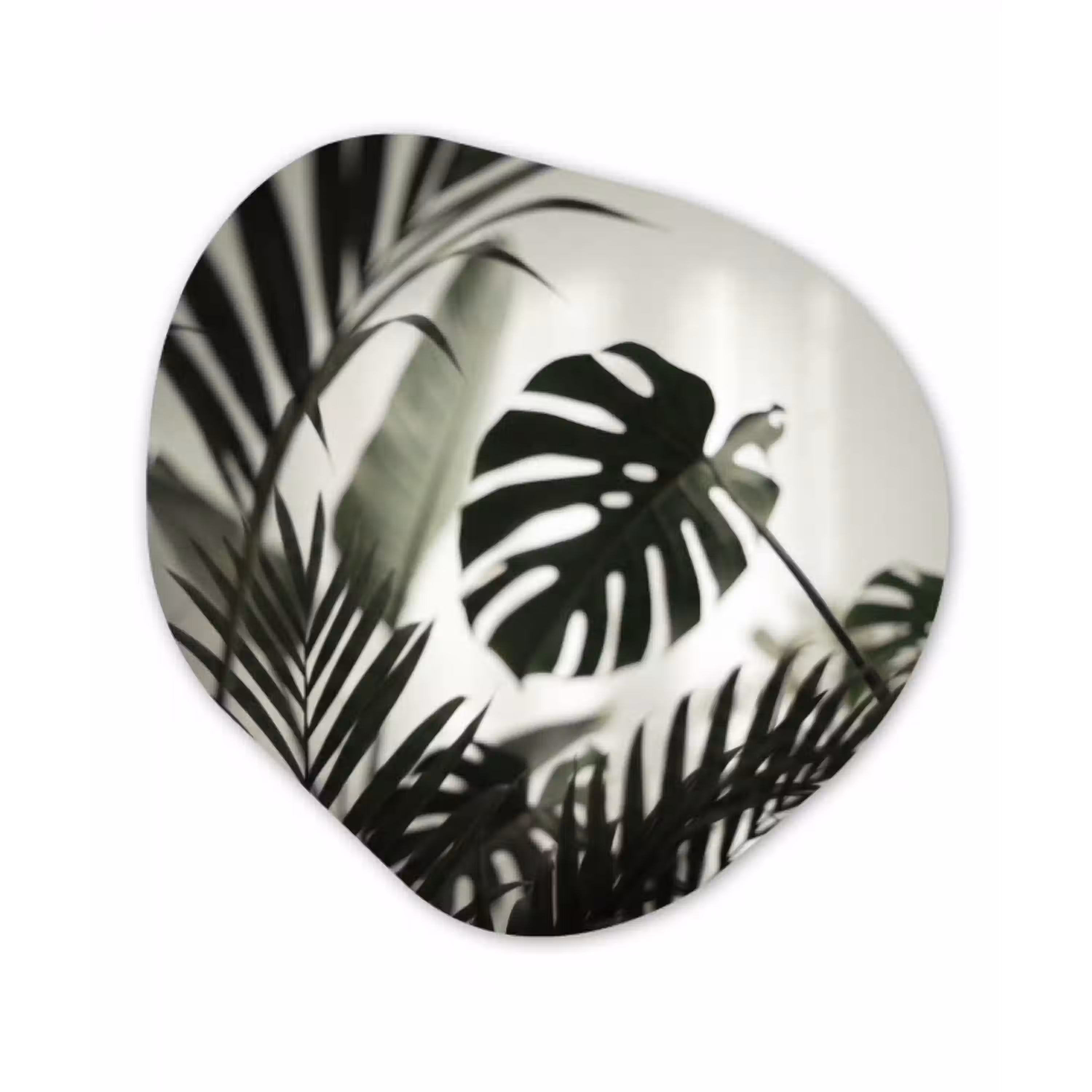 Planten - Bladeren - Natuur - Minimalistisch - Groen Wandcirkel Organisch Forex 3mm klein -3d
