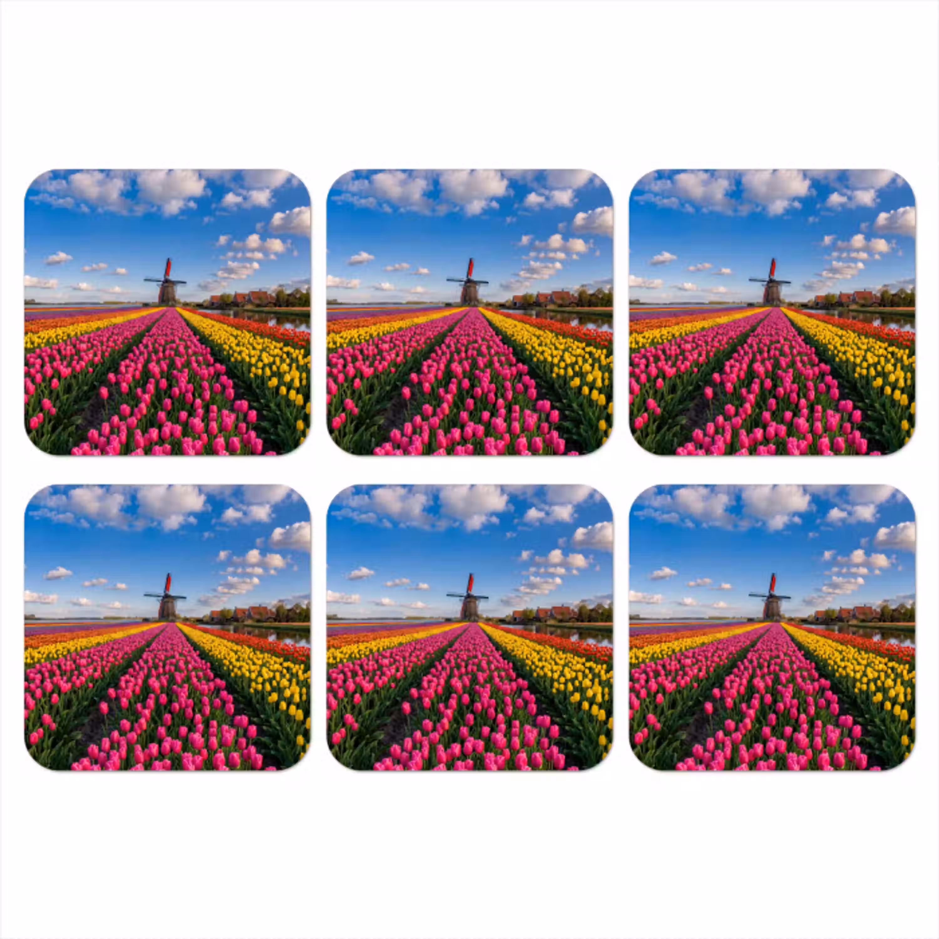 Tulpen - Holland - Molen - Kleurrijk onderzetter kurk middel -3d