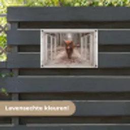 Hooglander door het Raam tuinposter los doek klein -sfeer3