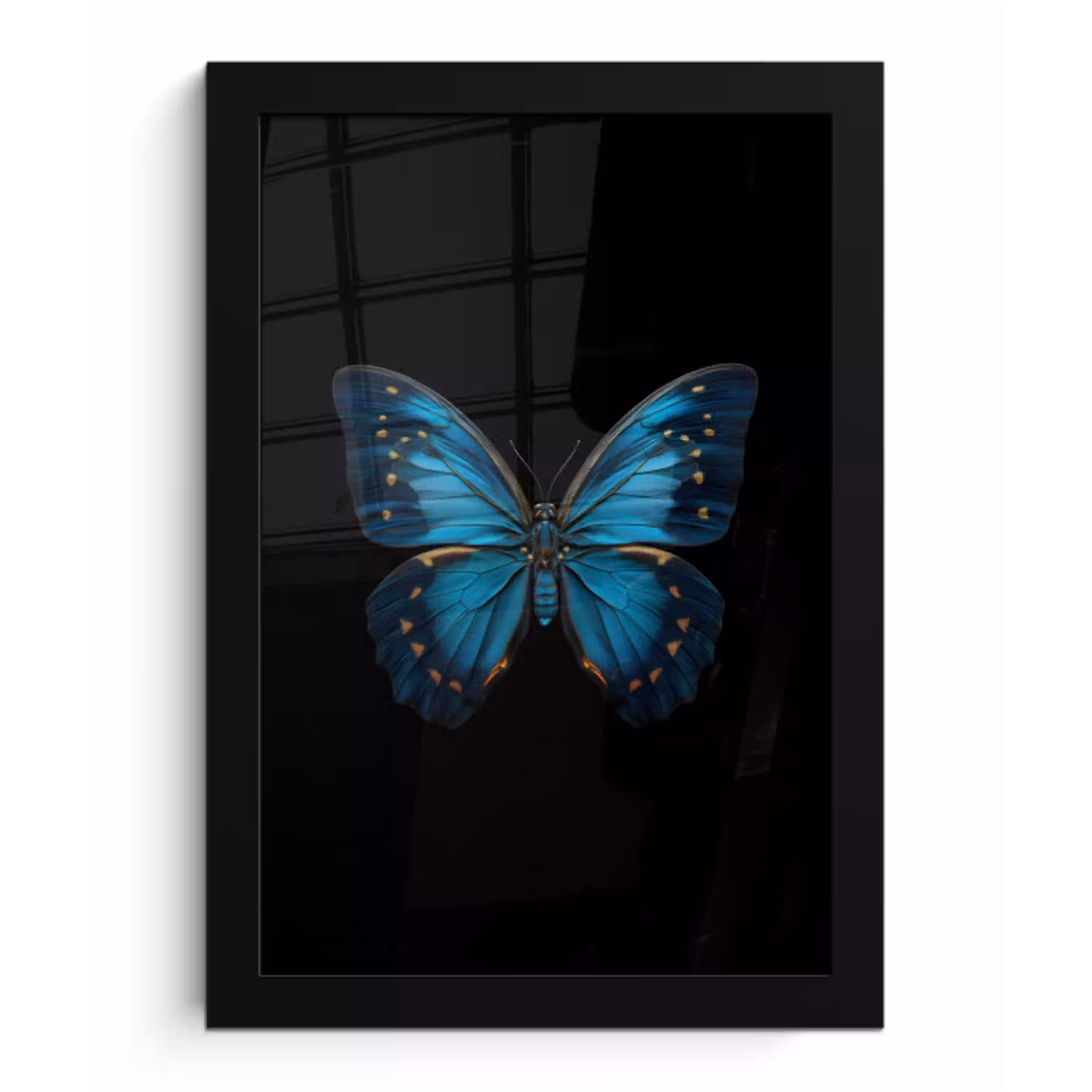 Vlinder - Blauw - Contrast fotolijst zwart zonder passe partout klein -3d