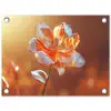Glazen - Bloem - Zonlicht tuinposter los doek klein -3d
