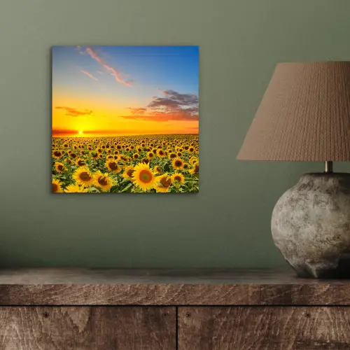 Bloemen - Zonnebloem - Zonsondergang - Nacht - Oranje aluminium wit klein -sfeer2