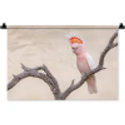 Papagaai - Tak - Roze Wandkleed katoen klein -zz3d