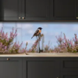 Roodborsttapuit - Heide - Paars - Natuur - Sfeervol keuken achterwand 2 middel -sfeer1