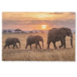 Olifanten - Savanne - Zonsondergang - Afrika - Warm Deurmat klein -zkaufland3d
