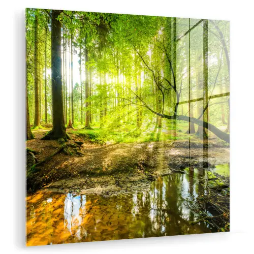 Bos - Landschap - Water - Bomen - Zon - Groen - Natuur plexiglas 5mm klein -zzzproduct_nieuw
