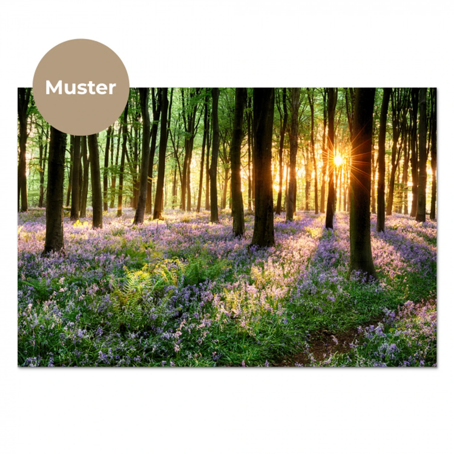 Bos - Bloemen - Lavendel - Zon - Paars - Natuur keuken achterwand sample klein -3d_DE