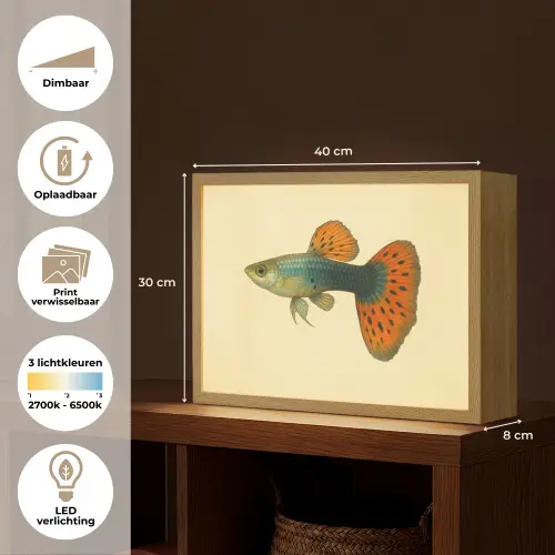 Vis - illustratie - Stippen - Oranje Light Box met batterij (Wandlamp) middel -USP_websiteoverzichtNL