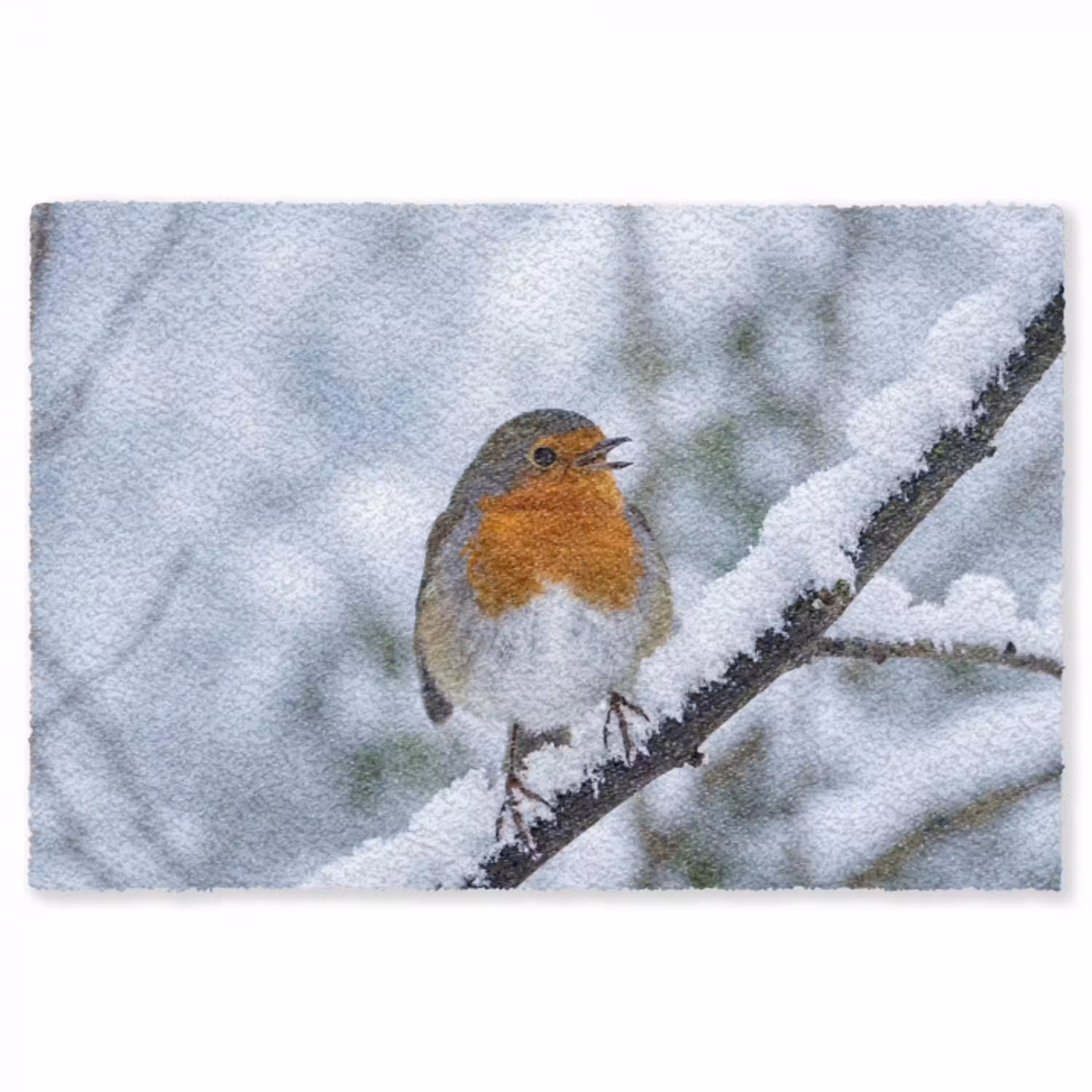 Roodborstje - Tak - Sneeuw - Winter - Levendig Vloerkleed Rechthoek klein -3d