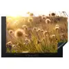 Planten - Natuur - Bloemen - Zon - Horizon Inductie beschermer vinyl 3mm klein -3d