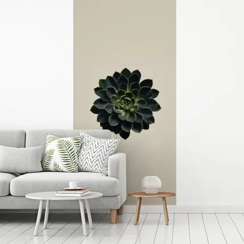 Rozet - Cirkelvormig - Donkergroen fotobehang vinyl groot -woonkamer