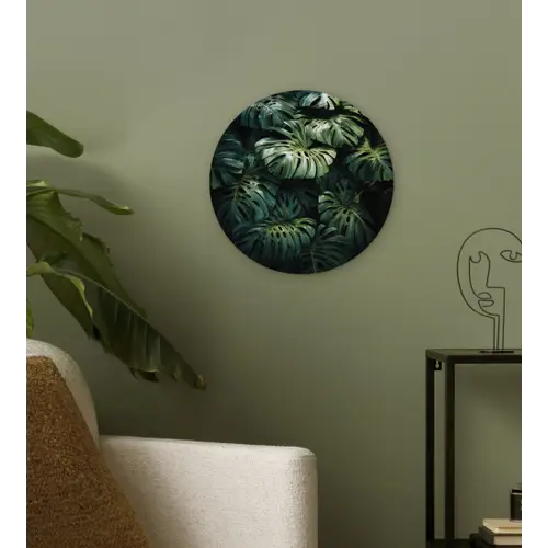 Plant - Monstera - Lichtinval Wandcirkel kunststof plaat 5mm dik klein -sfeer3