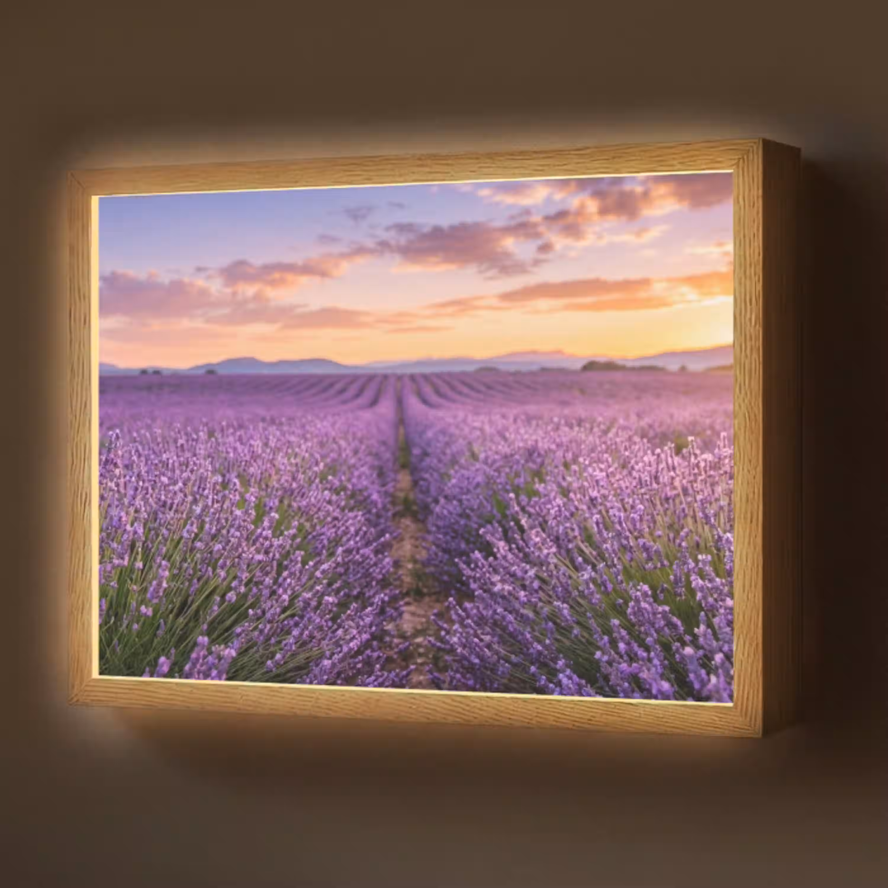 Lavendel - Veld - Natuur - Paars Light Box met batterij (Wandlamp) middel -z3d_website