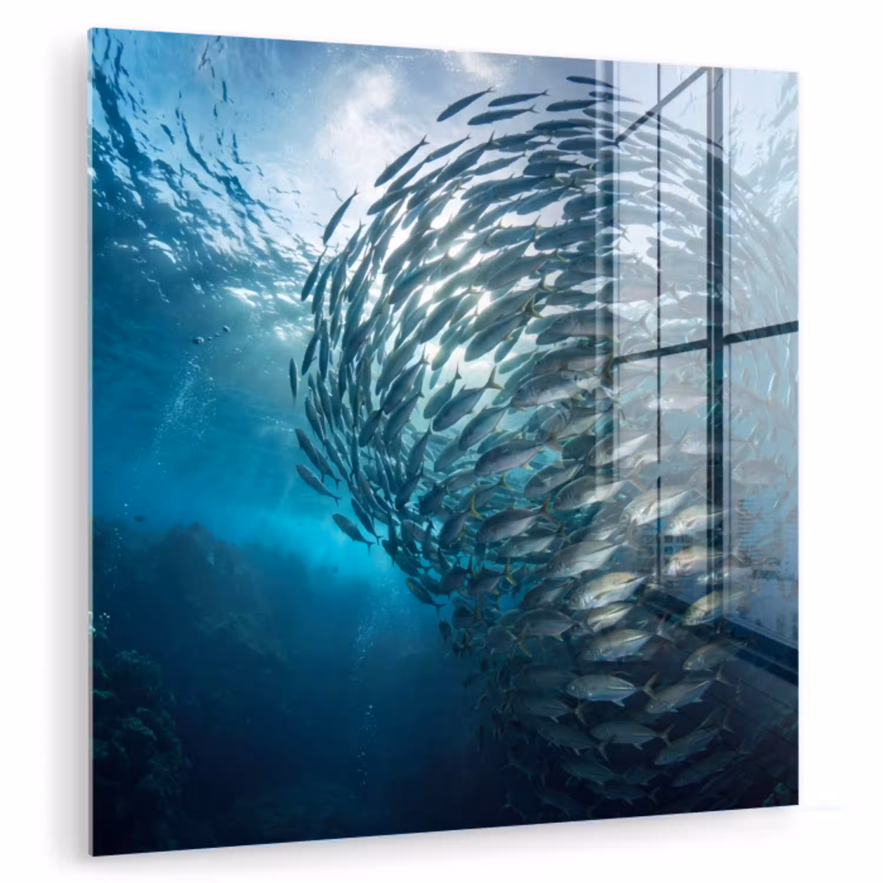 Vis - School - Oceaan - Natuur - Blauw plexiglas 5mm klein -zzzproduct_nieuw