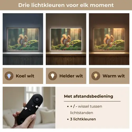 Eekhoorn - Nootje - Gras Light Box met batterij (Wandlamp) middel -USP_lichtkleurNL