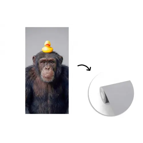 Chimpansee - Badeend - Grijs fotobehang vinyl groot -3d