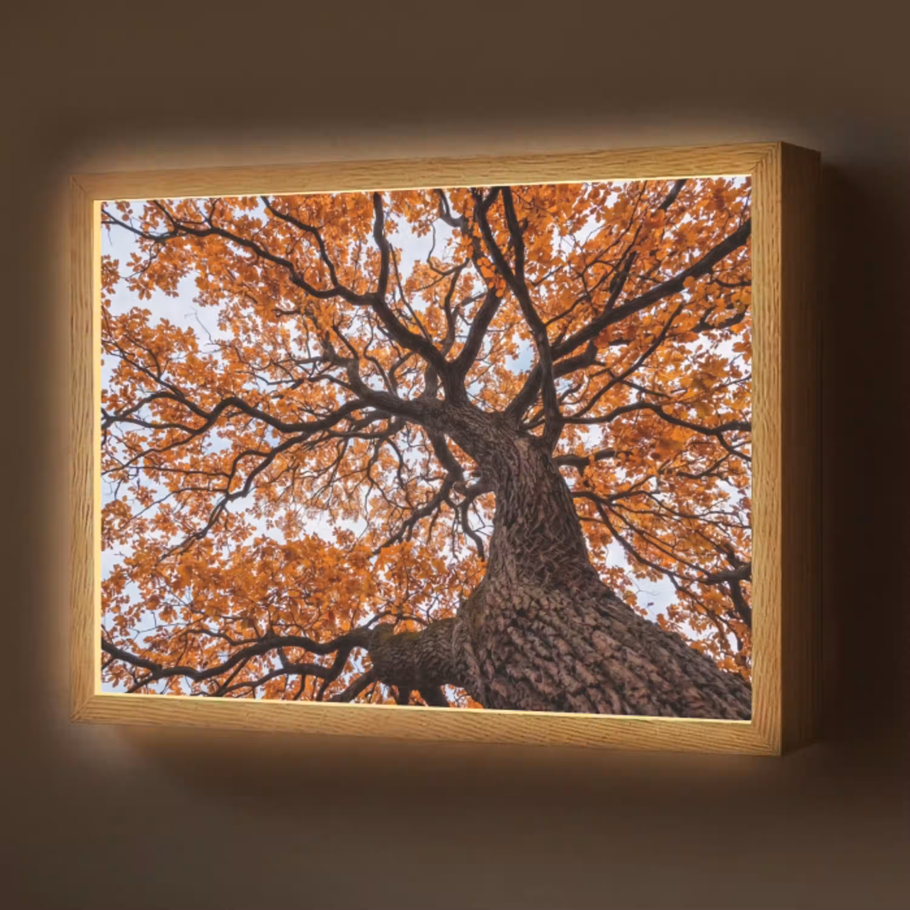 Boom - Bladerdak - Herfst - Oranje - Sfeervol Light Box met batterij (Wandlamp) middel -z3d_website