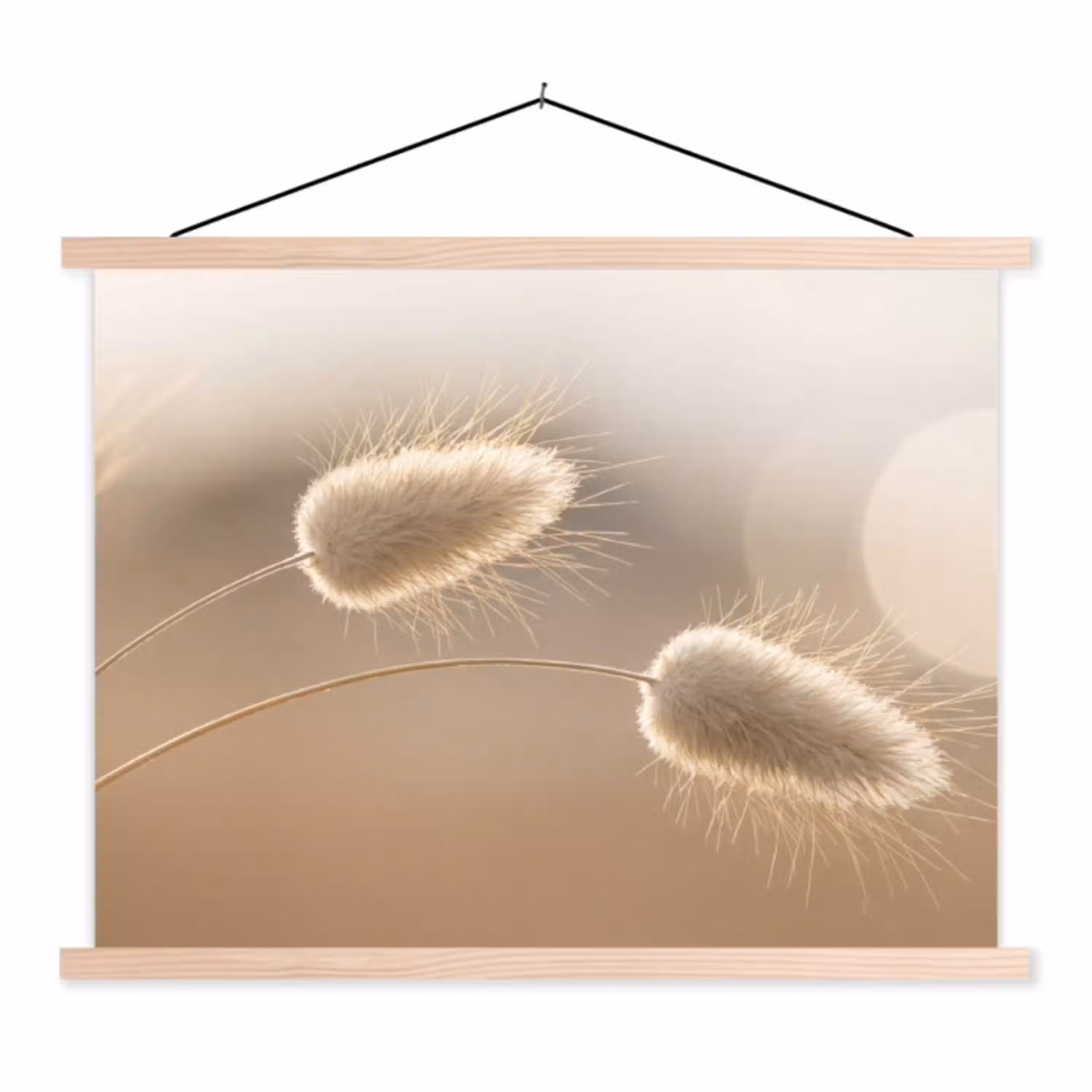 Hazestaartgras - Graanharen - Zonlicht textielposter latten blank klein -3d