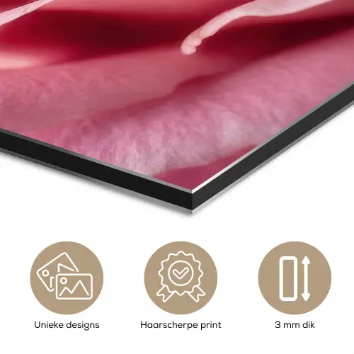Roze - Roos - Romantisch aluminium wit klein -closeup_NL