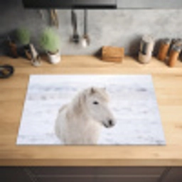 Paard - Kop - Winter - Dieren - Wit Inductie beschermer vinyl 3mm klein -sfeer5