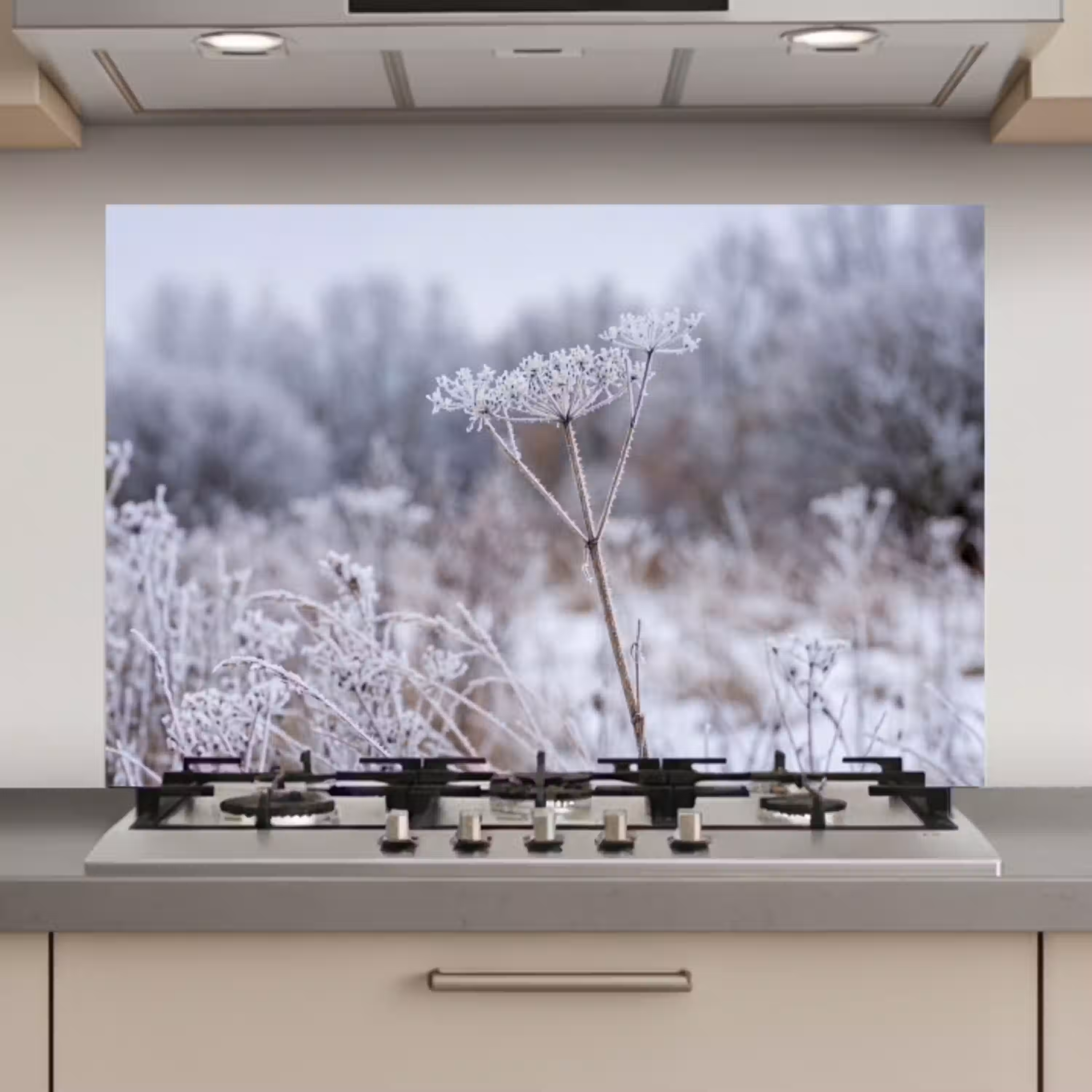 Schermbloem - Rijp - Kristallen - Winter - Delicaat keuken achterwand spatscherm klein -3d_website