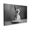 Sphynx - Kat - Dieren - Humor - Spaghetti - Zwart Wit canvas 2cm klein -z3d