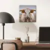 Longhorn - Grasveld - Dier aluminium wit klein -sfeer5
