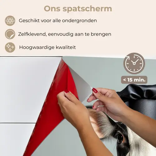 Koe - Zwart - Wit - Kok keuken achterwand spatscherm klein -spatscherm_NL