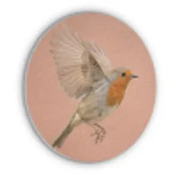 Roodborst - Natuur - Roze Akoestische PET Vilt - Rond klein -3d