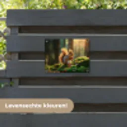 Eekhoorn - Nootje - Gras tuinposter los doek klein -sfeer3