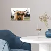 Schotse Hooglander -  Koe - Gras - Dieren - Natuur poster papier klein -sfeer3