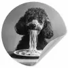 Poedel - Hond - Zwart - Wit - Schattig - Pasta Wandcirkel behangsticker klein -3d