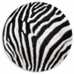 Zebra - Vacht - Klassiek - Zwart - Wit Wandcirkel kunststof plaat 5mm dik klein -3d