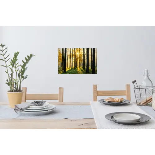 Bos - Zon - Bomen - Gras - Landschap Muursticker klein -eettafel