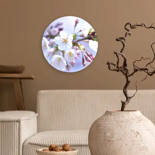 Bloemen - Sakura - Tak - Bloesem takken Wandcirkel kunststof plaat 5mm dik klein -sfeer1