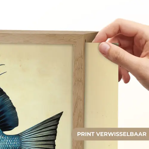 Blauw - Kieuwen - Vis - Illustratie Light Box met batterij (Wandlamp) middel -USP_websiteprintNL