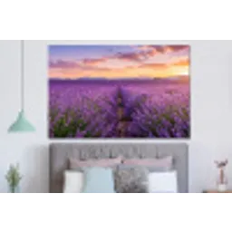 Lavendel - Veld - Natuur - Paars forex 5mm xxl -slaapkamer