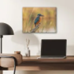 IJsvogel - Tak - Water - Kleurrijk - Levendig PET vilt klein -sfeer5