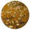 Amandelbloesem - Kunst - Van Gogh - Goud Wandcirkel kunststof plaat 5mm dik klein -3d