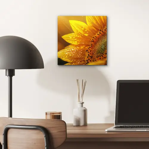 Zonnebloem - Dauwdruppels - Geel - Zonlicht aluminium wit klein -sfeer5