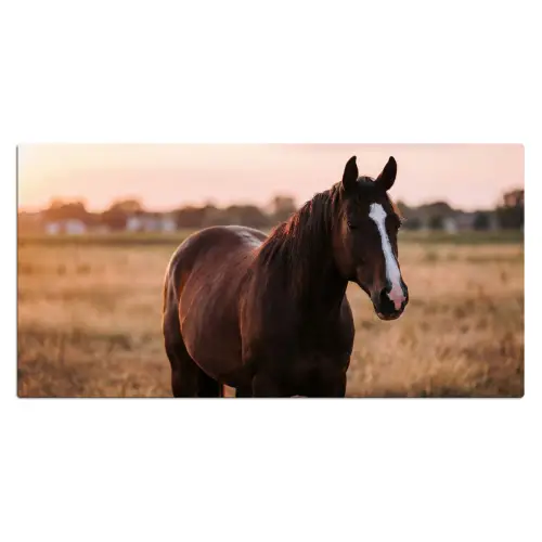 Paard - Zonsondergang - Bruin Muismat XXL klein -3d_leeg