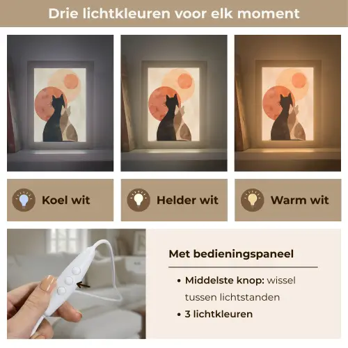 Katten - Zwart - Abstract - Cirkels Light Box met kabel (Tafellamp) klein -USP_lichtkleurNL