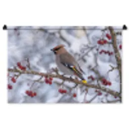 Pestvogel - Bessen - Winter - Natuur Wandkleed katoen middel -zz3d