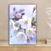 Bloemen - Sakura - Tak - Bloesem takken canvas 2cm klein -sfeer1