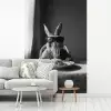 Konijn - Bunny - Zonnebril - Tafelkleed - Pasta - Schattig fotobehang vinyl groot -woonkamer