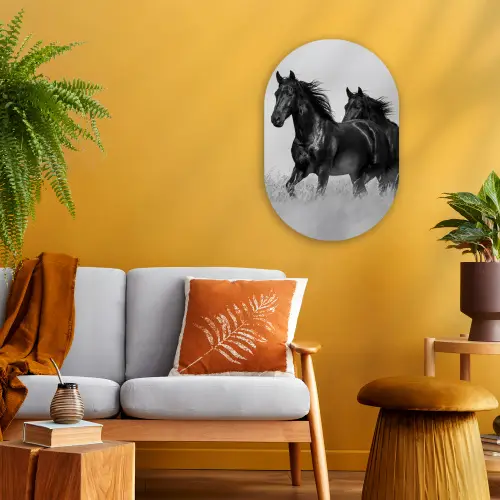 Paarden - Gras - Zwart - Wit Wandcirkel Ovaal Forex klein -sfeer4