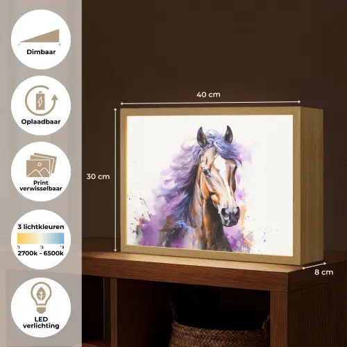 Paard - Dieren - Meiden - Paars - Bruin Light Box met batterij (Wandlamp kind) middel -USP_websiteoverzichtNL