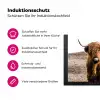 Wachter van de Hooglanden Inductie beschermer vinyl 3mm middel -zzzzzzz-lf-ups