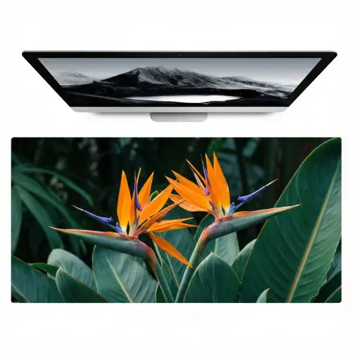 Paradijsvogel - Bloem - Exotisch Muismat XXL klein -zzz3d